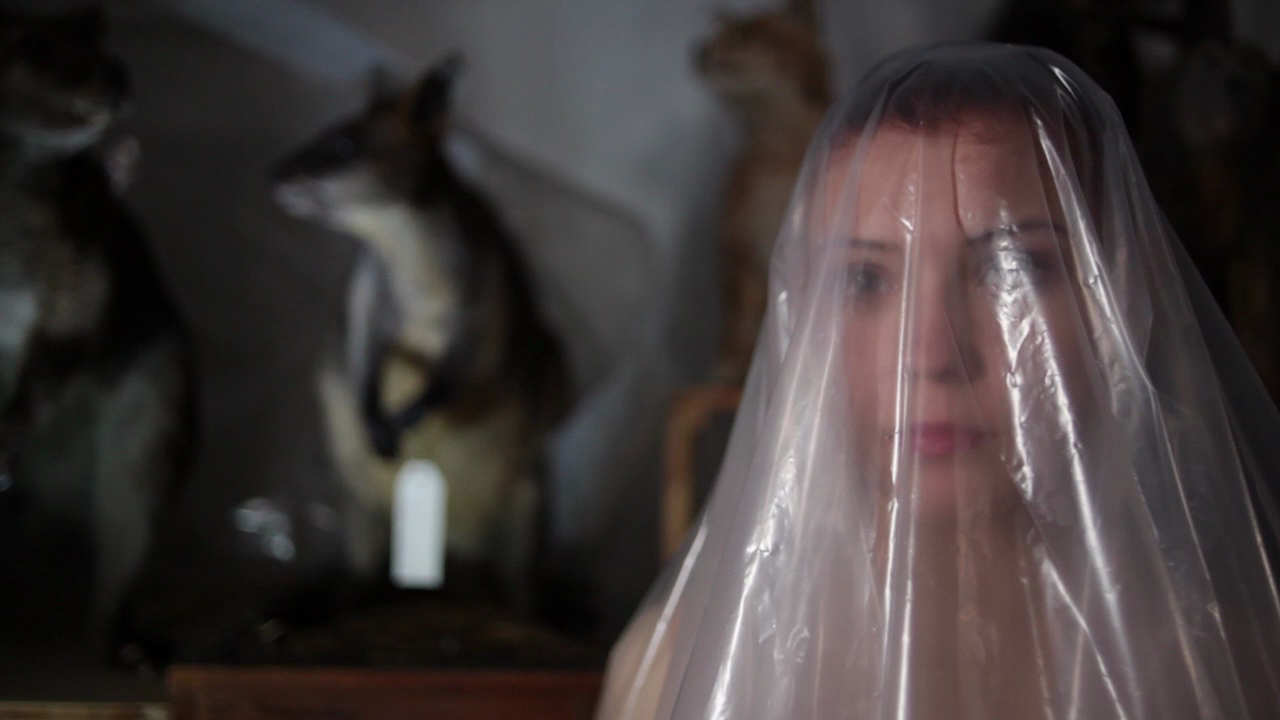 <span class='caption-artist'>Tobias Yves Zintel</span>, <span class='caption-title'>Neverland Rising</span>, <span class='caption-year'>2010</span>, <span class='caption-medium'>Video still</span>