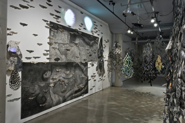 <span class='caption-artist'>Lucie Chan</span>, <span class='caption-title'>entre-deux larmes</span>, <span class='caption-year'>2006</span>