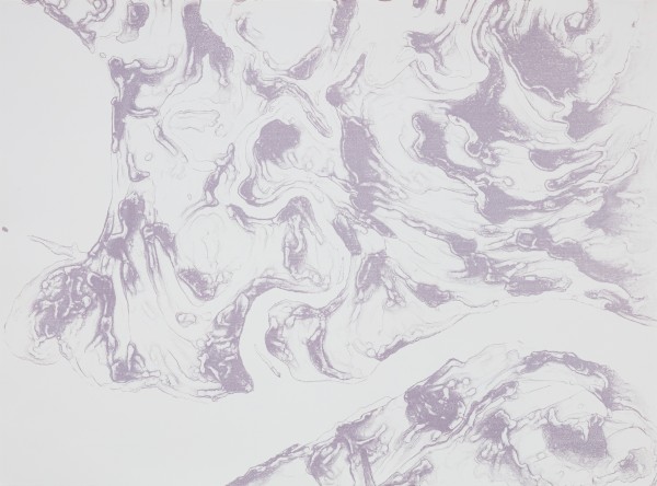 <span class='caption-artist'>Lisa Myers</span>, <span class='caption-title'>Blueprints: Garden River</span>, <span class='caption-year'>2015</span>, <span class='caption-medium'>Blueberry ink on archival paper</span>