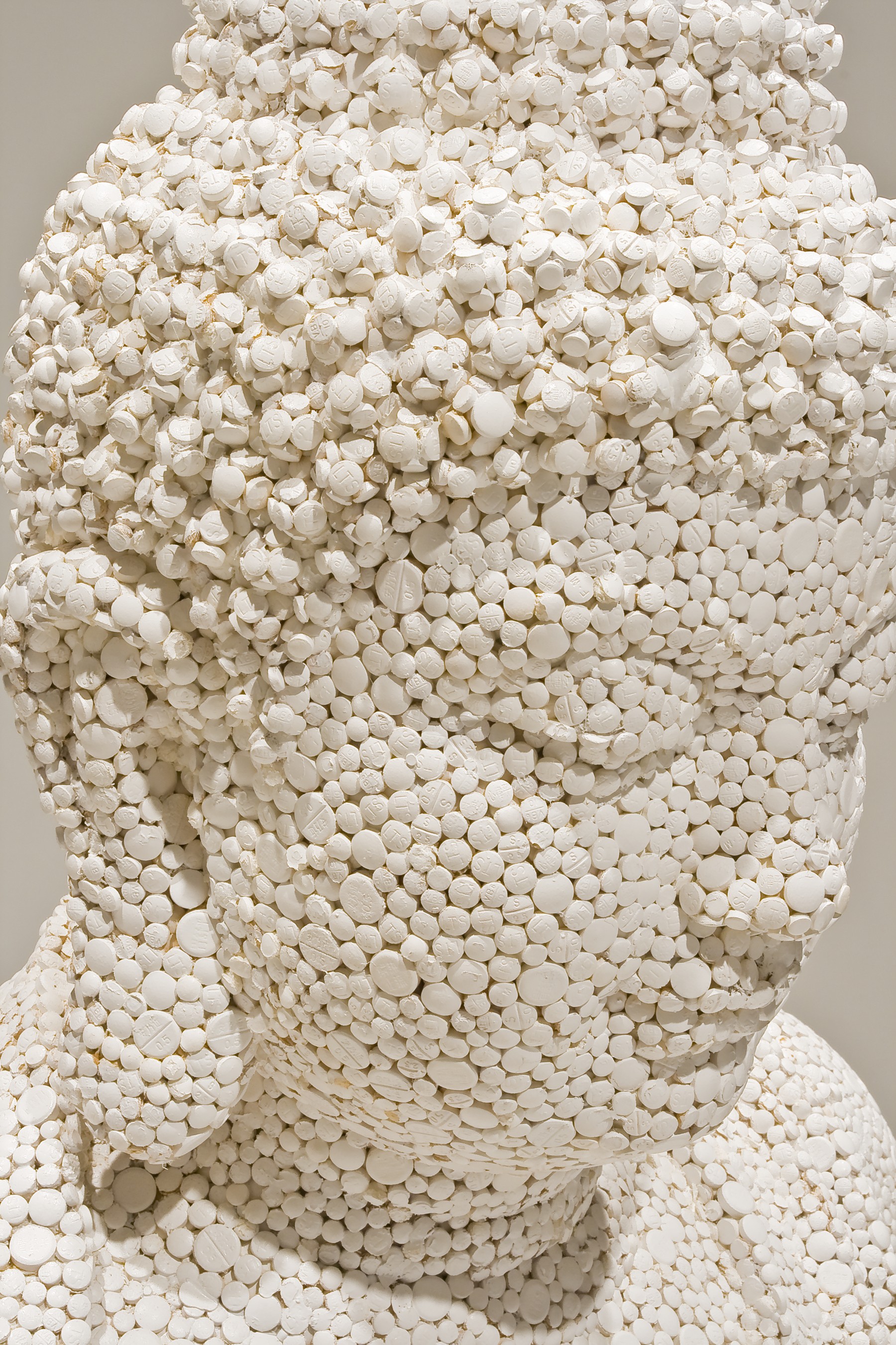 <span class='caption-artist'>Zhang Wang</span>, <span class='caption-title'>Temple of Western Medicine</span>, <span class='caption-year'>2006</span>, <span class='caption-medium'>Detail</span>