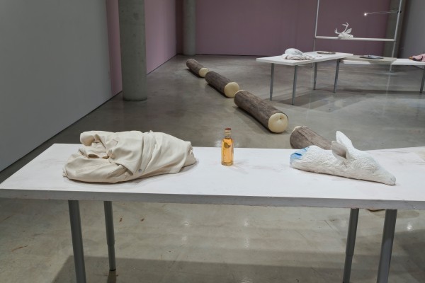 <span class='caption-artist'>Storage Facilities</span>, <span class='caption-title'>2009</span>, <span class='caption-year'>Installation view</span>