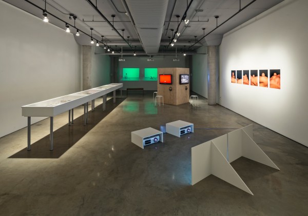 <span class='caption-artist'>TEMPERAMENTAL</span>, <span class='caption-title'>2015</span>, <span class='caption-year'>Installation view</span>