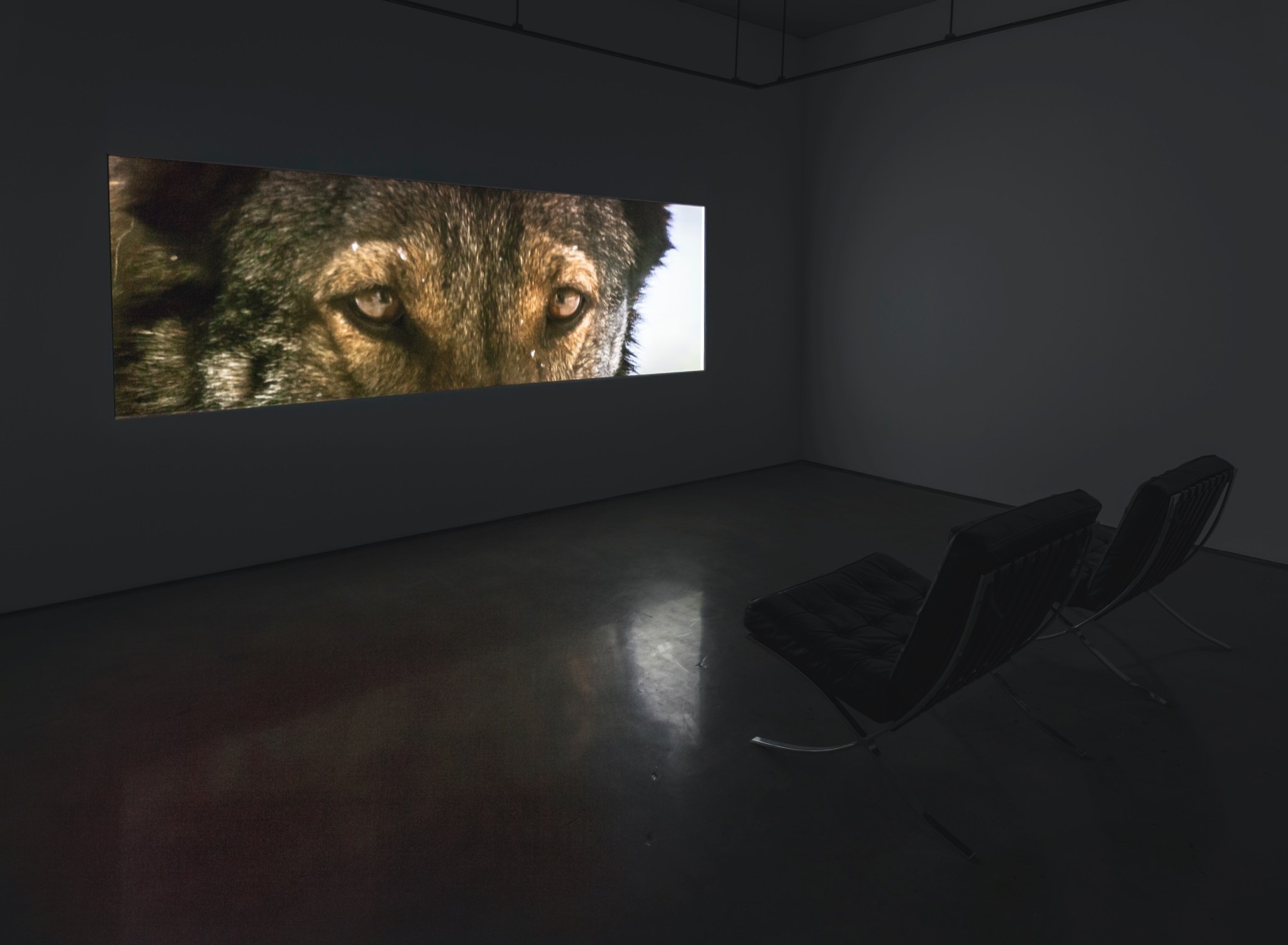 <span class='caption-artist'>Simone Jones</span>, <span class='caption-title'>Within Distance</span>, <span class='caption-year'>2013</span>, <span class='caption-medium'>Installation detail</span>