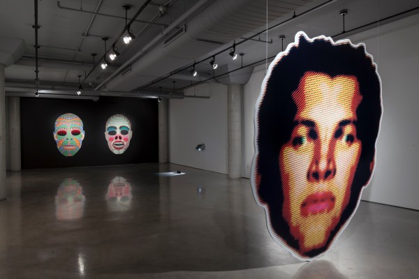 <span class='caption-artist'>You Cannot Kill What Is Already Dead</span>, <span class='caption-title'>2013</span>, <span class='caption-year'>Installation view</span>